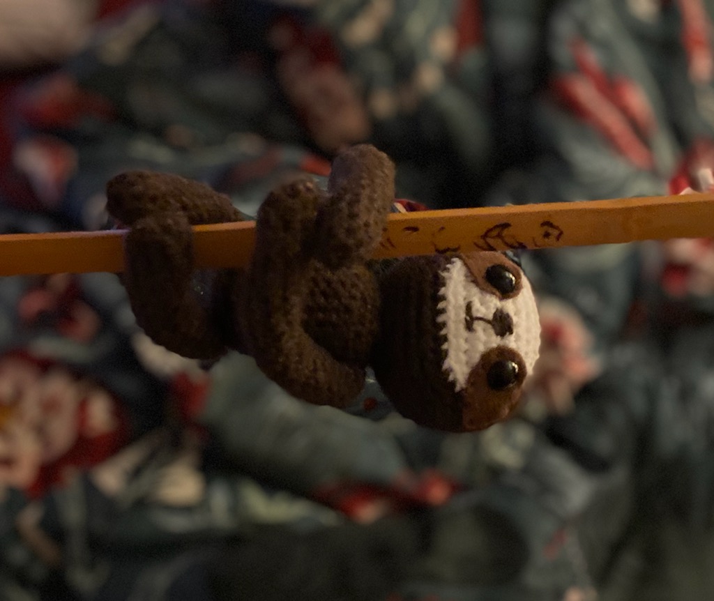Patience the Sloth